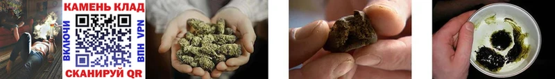 ГАШ Cannabis Ижевск