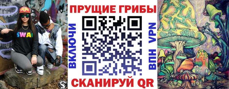 OMG ссылка  Ижевск  Галлюциногенные грибы GOLDEN TEACHER 